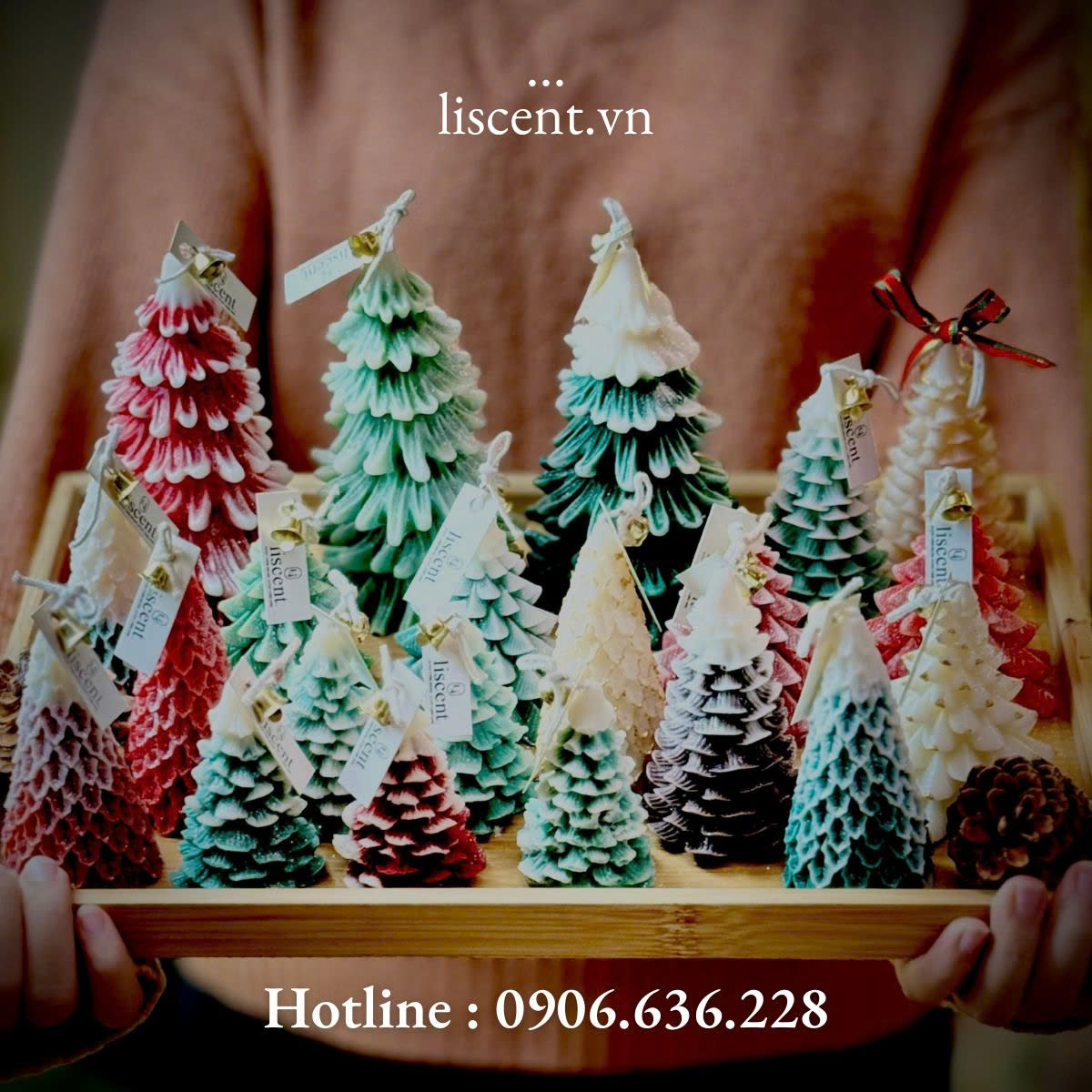 z6024445354055_9925b298aa9b9540aa0b0caf4dc11ced